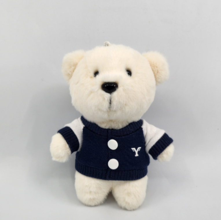 Jumper Teddy Keychain 