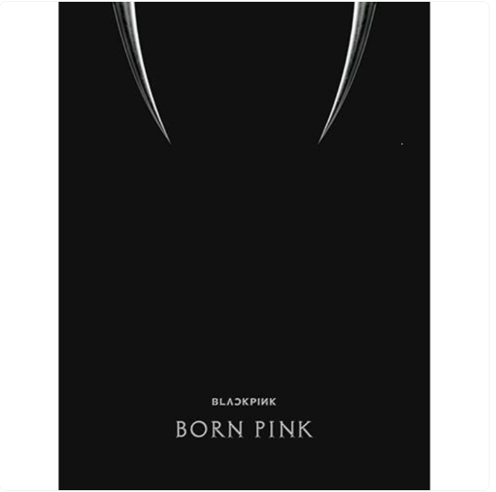 BORN PINK 2nd ALBUM BLACK VER. 