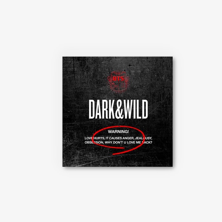 DARK&WILD ALBUM