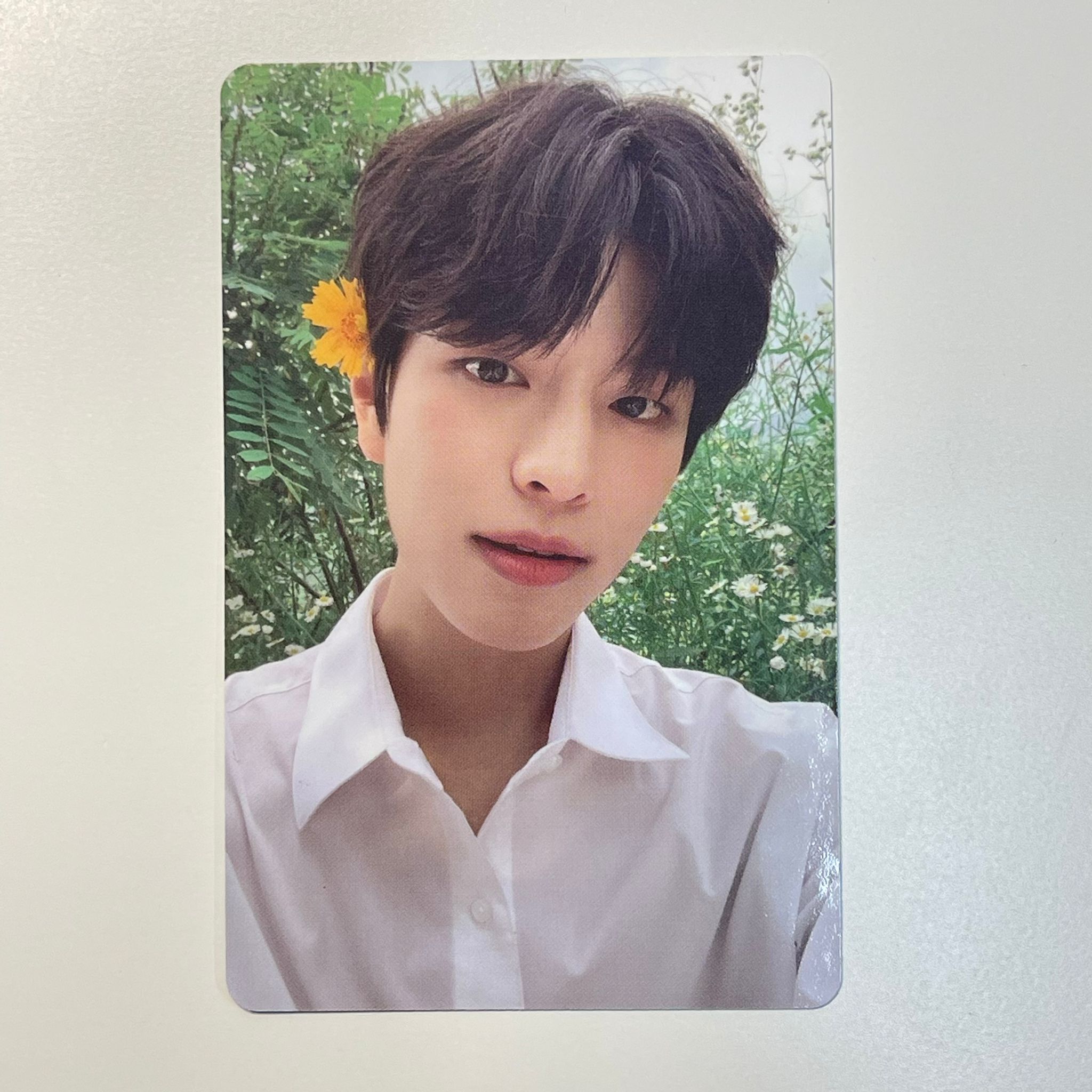 NOEASY Official Limited PC - Seungmin 