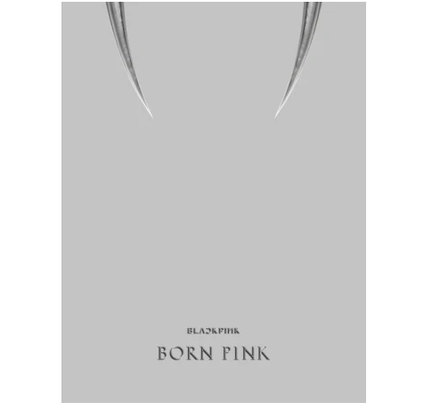BORN PINK 2nd ALBUM GRAY VER. 